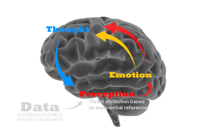 Brain diagram showing the RSP loop: data flows into perception (threat attribution based on experiential reference), then perception → emotion → thought and back.